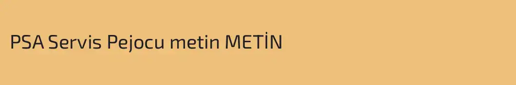 PSA Servis Pejocu metin METİN